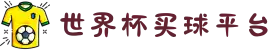 世界杯买球平台 - 买球平台推荐与攻略 - 2026世界杯
